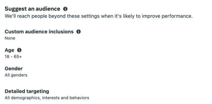 Advantage + campaign audience